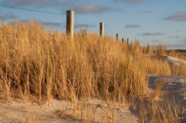 AustraliaPerth 10  084